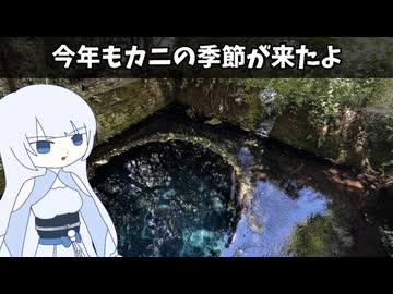今年もカニの季節が来たよ