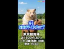 【馬番発表後まあまあ早い競馬予想】ＧⅠ #NHKマイルＣ□AIみかん□予想担当はCocoんco□きのこ□栽培マン□の推奨馬3頭で好配当的中目指します《#競馬楽部□LOVE》通算Vol.430