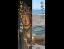 歩み、点て、詠む【三浦三十三観音】