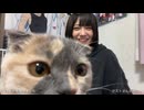 【おにん】絶妙な画角で現れた"もちお"がかわいい
