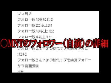 〇MNTのフォロワー（自演）の詳細