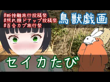 【断捨離旅行投稿祭】セイカたび　～鳥獣戯画～【二週間投稿祭投稿祭】