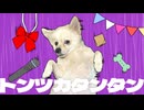 【17歳記念に犬と一緒に】『トンツカタンタン』歌ってみた／でぃむら feat. コタロー