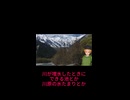 【旅先風景】ヒキガエルとその生態学的なお話