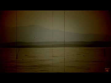 松岡修造の消失