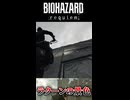 これがラクーンの景色