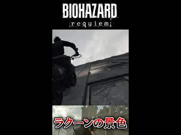 これがラクーンの景色