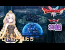 【ドラゴンクエスト1＆2　HD-2Dリメイク】襲われる妖精たちを助けろ！！　#30話【ネタばれあり】ドラクエ２