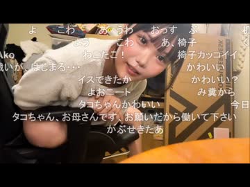 tako (2026/5/8) 作業枠