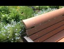 【BGM 】春の予感【フリー音源】