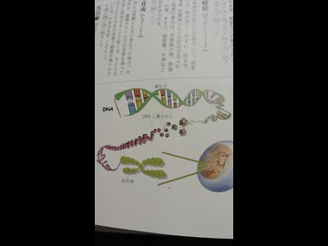 ２０２２年頃から染色体異常が【爆増】1000003655