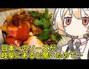 飛騨清見ソースカツ丼【ナースロボ】