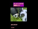 おっさんUMA調査隊 第7回 「カウ タケミツ」編