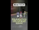 何が見えてるのwww