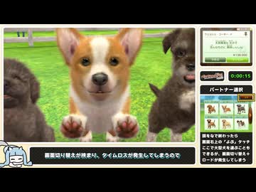 【RTA】ニンテンドッグス＋キャッツ - ジュニアカップ大会制覇 5分26秒