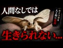 【衝撃の進化】カイコはなぜ野生に戻れない？人類が作り上げた“家畜化昆虫”の真実