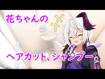 花ちゃんのヘアカット、シャンプー【flower誕生祭2026】