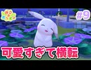 【ぽこ あ ポケモン】進まない。ポケモンたちと夢の街づくり#9【実況】