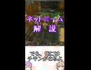 ゆかつむネットミーム解説【でも、俺にはチキンがあるよ】