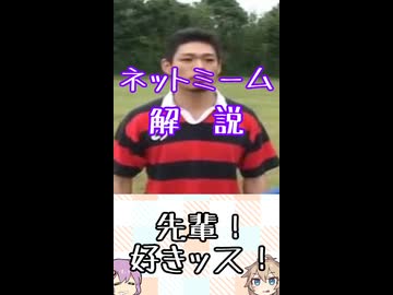 ゆかつむネットミーム淫夢ネタ解説【先輩！好きッス！】