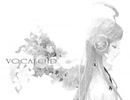 【カラオケ(?)／インスト】虚栄の花【SF-A2 miki】