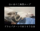 白い赤べこ無限ループ