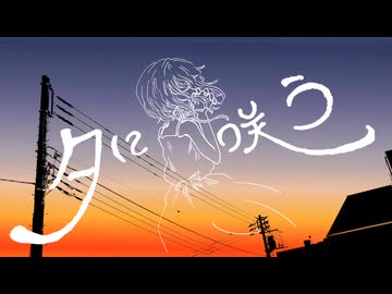 夕に咲う/一花