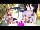 【ポケモンAZ】ゆかうさ 虫と歩むZ-A#30