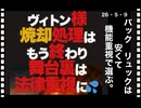 26・5・9　ヴィトン　そんなもん要らん。機能重視　そして安い物　一択です。