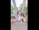【23】ルカルカ★ナイトフィーバー 踊ってみた【誕生日初投稿】