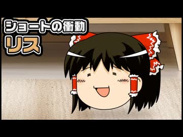 【ゆっくり自由帳】ショートの衝動 リス