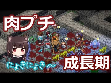 【Elin】Elinで理想の廃人スローライフを送りたい　＃24【COEIROINK】