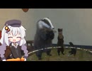 広大な大自然で狩りをするあかりちゃんのtheHunter: CotW#88