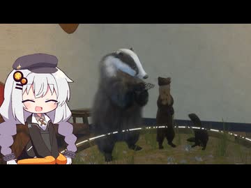 広大な大自然で狩りをするあかりちゃんのtheHunter: CotW#88