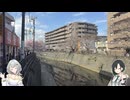大岡川の桜並木