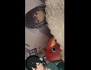 宮舞モカ！添い寝する！