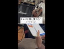 【スタジオ風景】まんまる猫と僕のうた