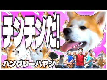 ハングリーハヤシ - チンチンだ！