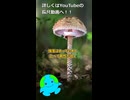 木のように巨大なキノコが存在しない理由