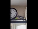 襲われてる？懐かれてる？