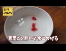 【疑問】イチゴ表面のブツブツを植えてみた　前編