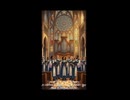眠れない夜に・・・大聖堂の響きが心をととのえる1分間□Choral Harmonies　