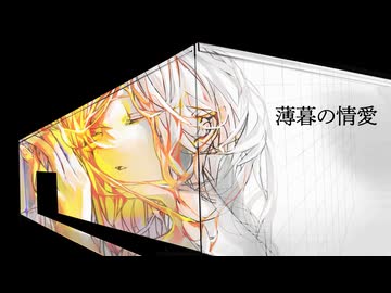薄暮の情愛 / Sagishi