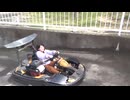 【家族旅行】ADVENTURE WORLD：ハイウェイカートに乗るあい♥アクシデント!!坂道で車が止まり下がってきてパニックになりました…
