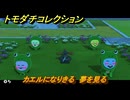 トモダチコレクション　カエルになりきる　夢を見る　島の住人観察日記（ポケモン編）　＃４５１　【トモコレわくわく生活】