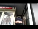 一服　落ち葉拾い　ただ肥料　腐葉土作り　その1　#アーバンサバイバル　#タウンサバイバル