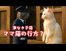 家なき子猫「ママ猫の行方？」＃4　-連絡-