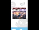エンジン停止＝死は嘘。ヘリが見せる最後の魔法 #雑学 #くろまる大冒険