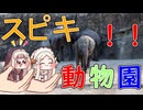 スピキ動物園！！