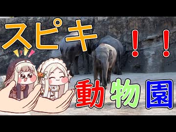 スピキ動物園！！